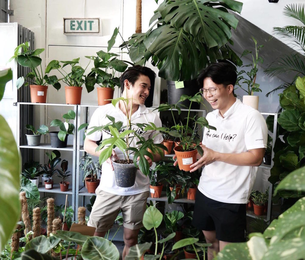 garden shop Singapore